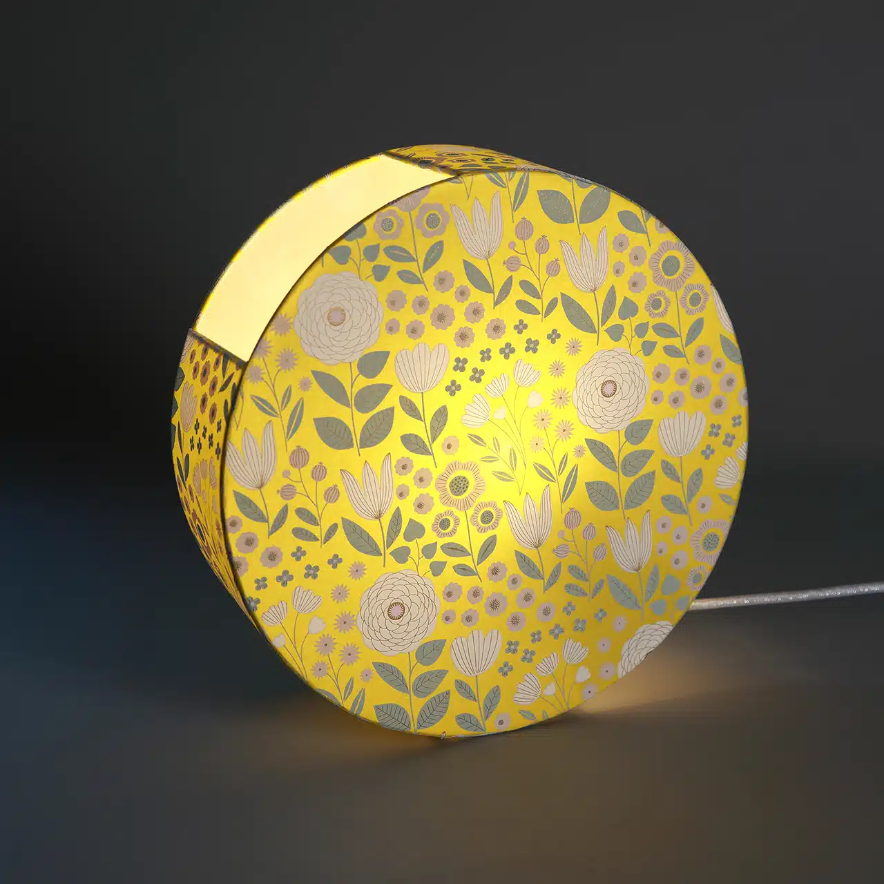 Créatrice de luminaires, je conçois et fabrique des lampes en papier japonais. Des collections sans cesse renouvelées qui permettent de proposer des pièces uniques et des séries limitées, en appliques, lampes à poser ou suspensions. Toutes les lampes sont conçues et assemblées dans mon atelier d'art et d'artisanat à Béruges (86).