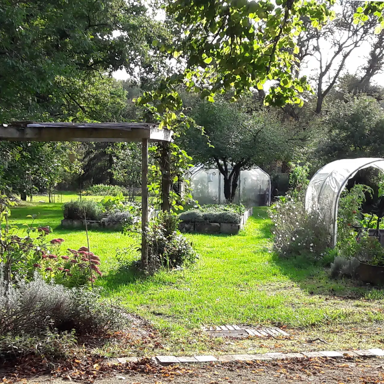 Le Jardin des Bonnes Herbes, c’est un petit coin de nature situé à Quinçay (86) en zone préservée, entre forêt, zones humides et prairies sauvages. J’y cultive une grande variété de plantes aromatiques et médicinales en Agriculture Biologique, et je pratique la cueillette des plantes sauvages dans leur milieu naturel.