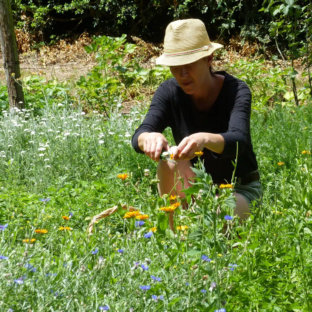 Le Jardin des Bonnes Herbes