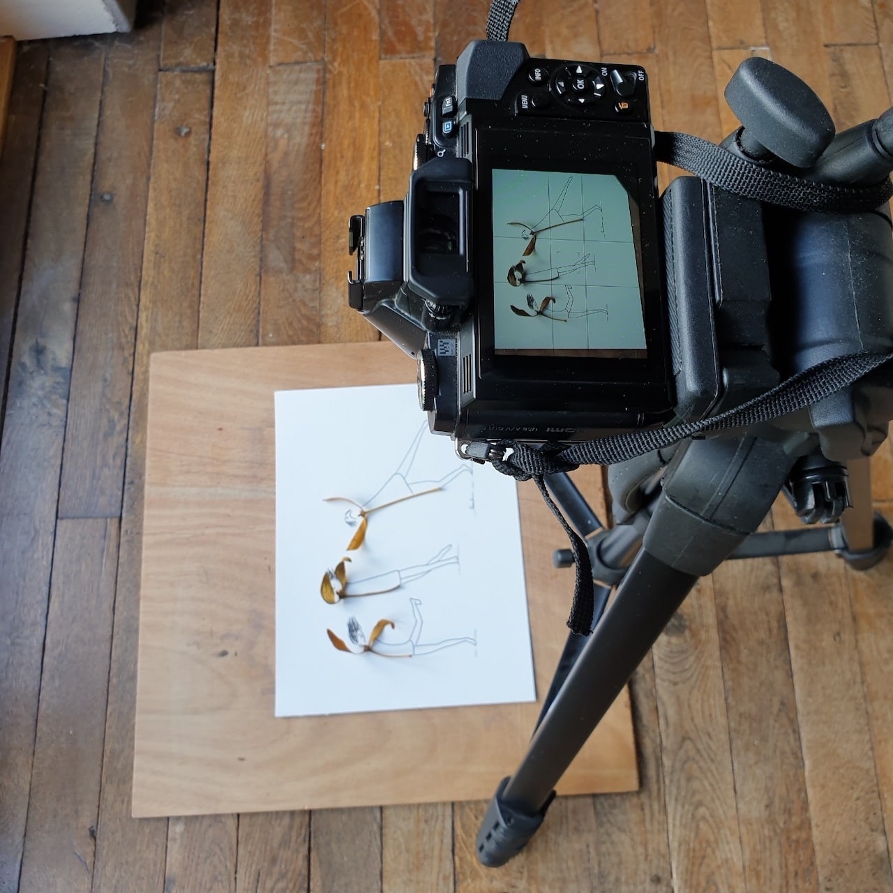 Depuis mon atelier à Marnay, tout proche de Gençay, je crée des illustrations épurées mêlant photographie et dessin, où la nature vient s’immiscer. Et laisser à l’autre la liberté de son imaginaire.
