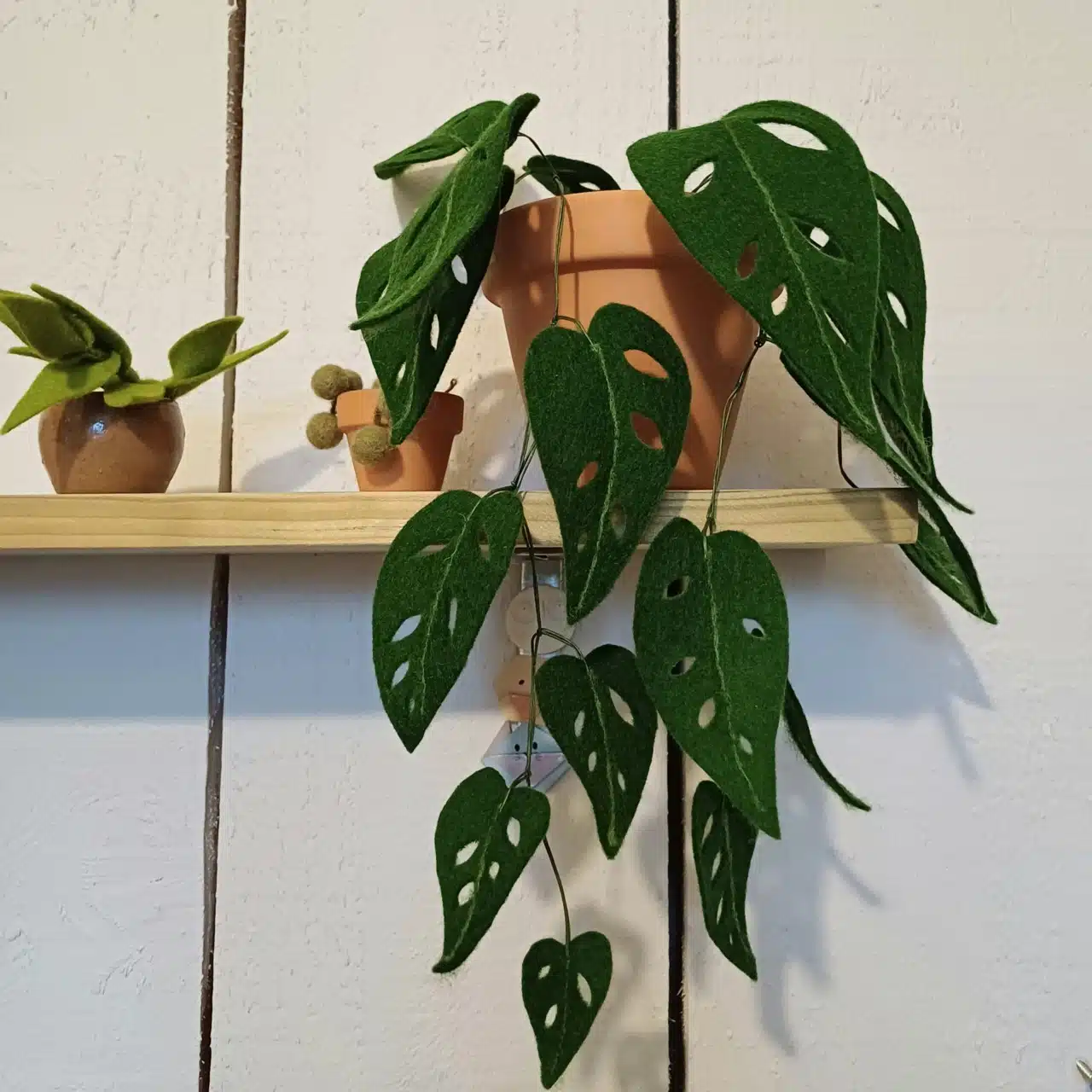 Monstera, Cactus, Piléa, Coquelicot, et bien d’autres ! Je m’inspire des plantes de nos jardins autant que des plantes d’intérieur, des plus iconiques aux plus exotiques.