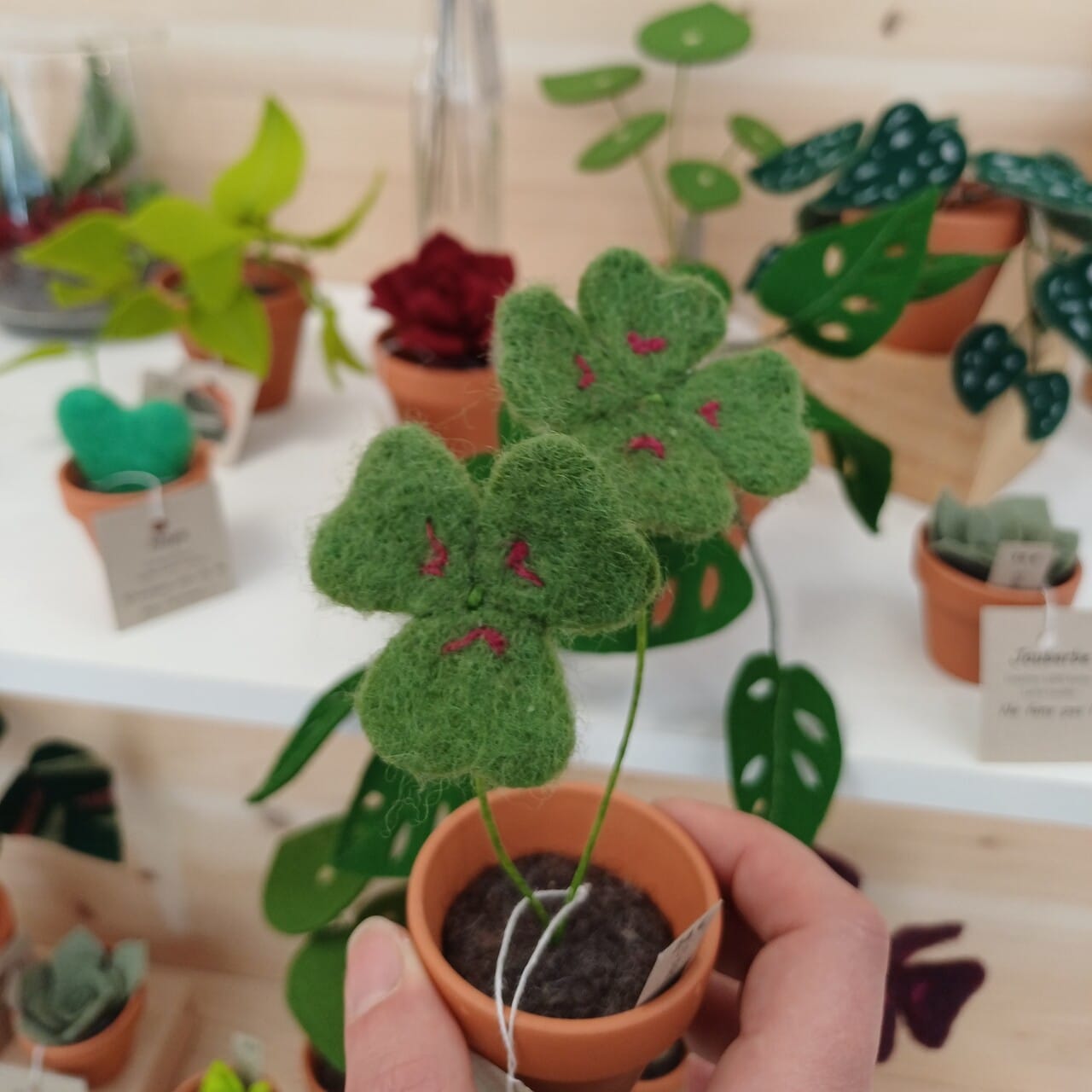 Créatrice d’objets de décoration en laine, je réalise des plantes et bouquets en feutrine et laine cardée