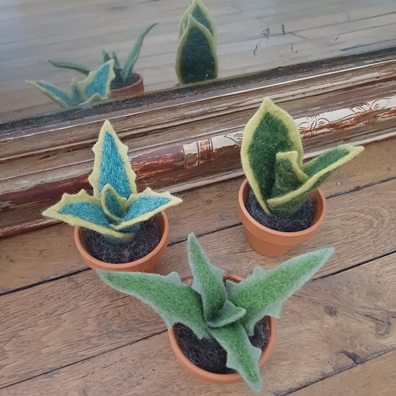 e propose une grande gamme de plantes mais aussi de fleurs à l’unité pour vous permettre de composer le bouquet singulier qui vous ressemble et je me fais un plaisir d’étudier vos demandes personnalisées pour des créations sur-mesure.