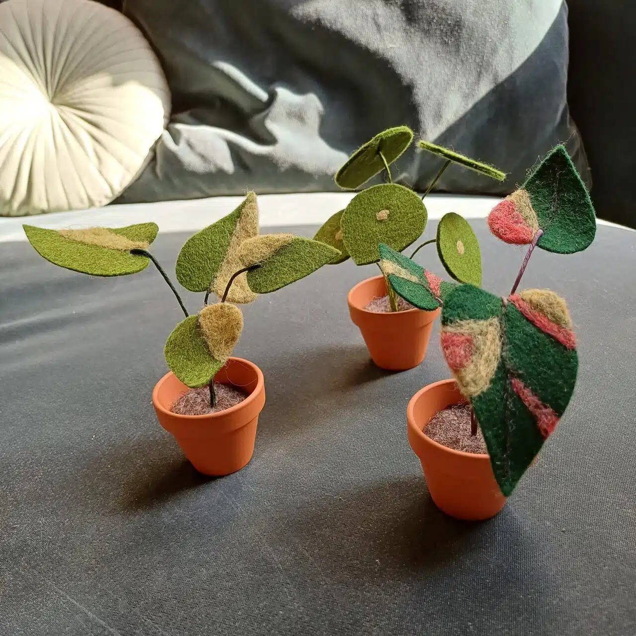 e propose une grande gamme de plantes mais aussi de fleurs à l’unité pour vous permettre de composer le bouquet singulier qui vous ressemble et je me fais un plaisir d’étudier vos demandes personnalisées pour des créations sur-mesure.