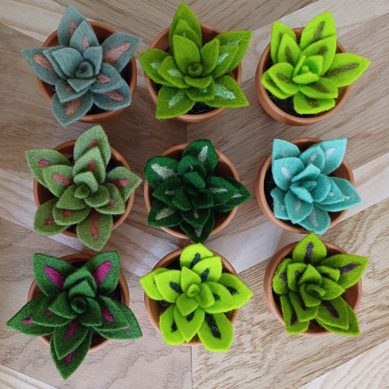 Monstera, Cactus, Piléa, Coquelicot, et bien d’autres ! Je m’inspire des plantes de nos jardins autant que des plantes d’intérieur, des plus iconiques aux plus exotiques.