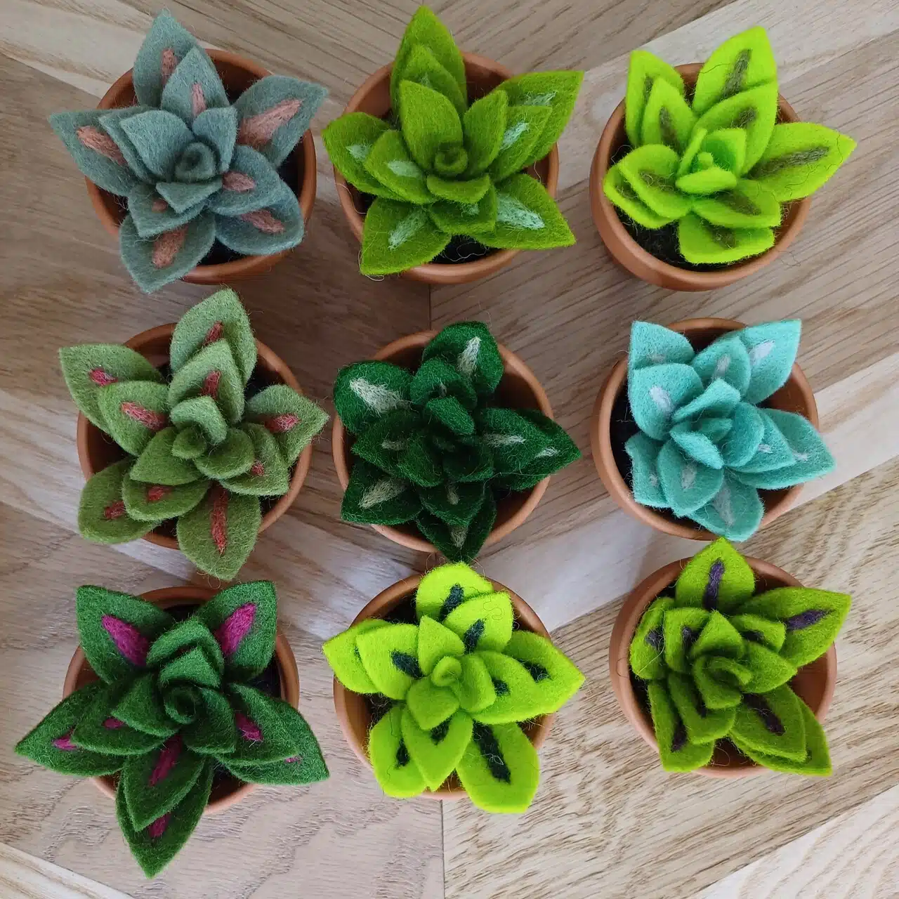 Monstera, Cactus, Piléa, Coquelicot, et bien d’autres ! Je m’inspire des plantes de nos jardins autant que des plantes d’intérieur, des plus iconiques aux plus exotiques.