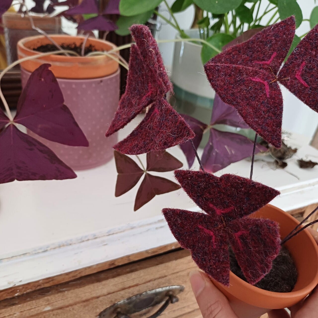 Monstera, Cactus, Piléa, Coquelicot, et bien d’autres ! Je m’inspire des plantes de nos jardins autant que des plantes d’intérieur, des plus iconiques aux plus exotiques.