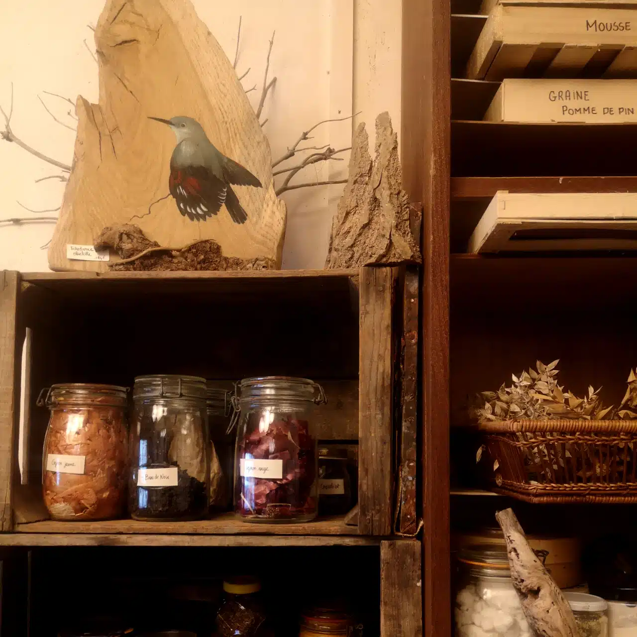 Coccilune créatrice à la boutique de Poitiers